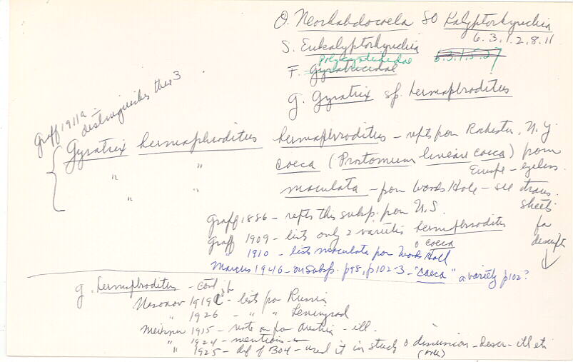 index card