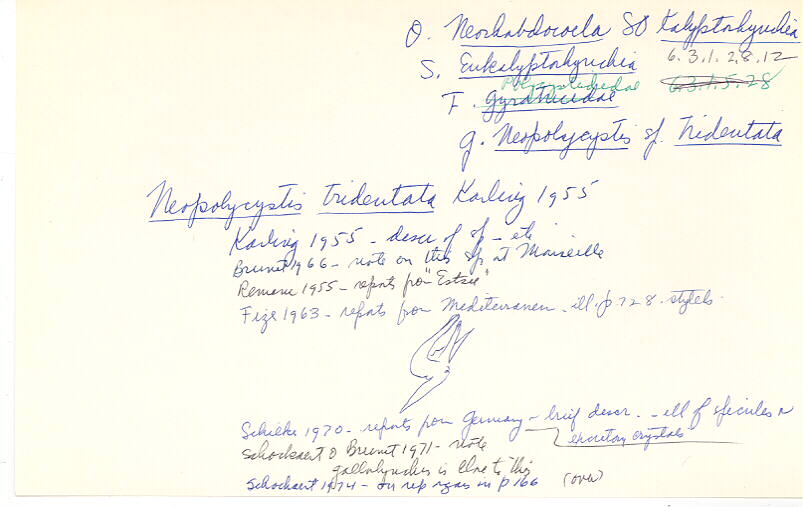 index card