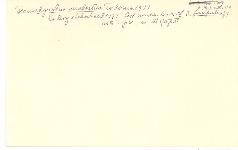 index card