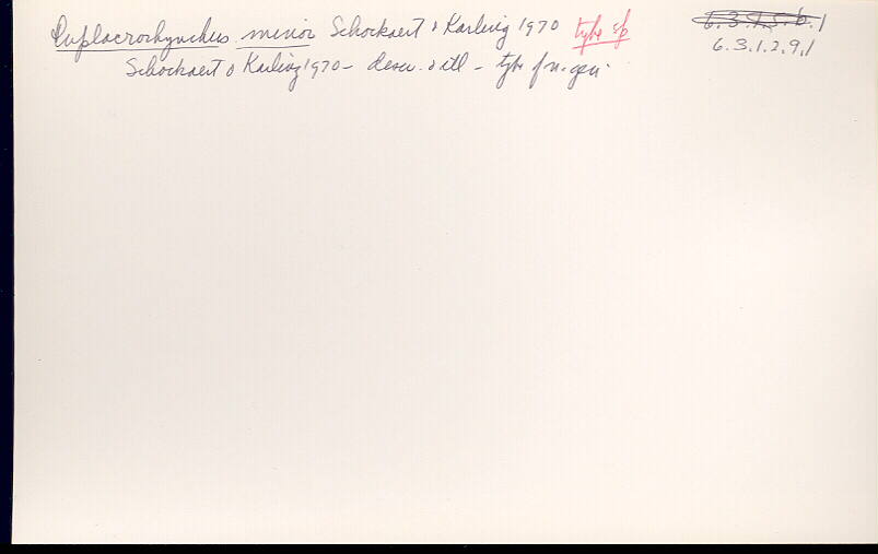 index card