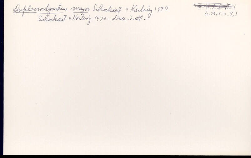 index card