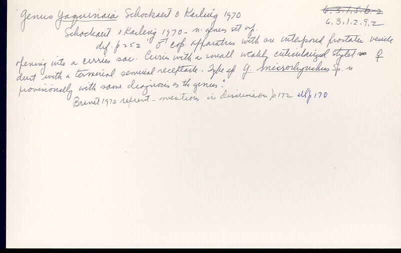 index card