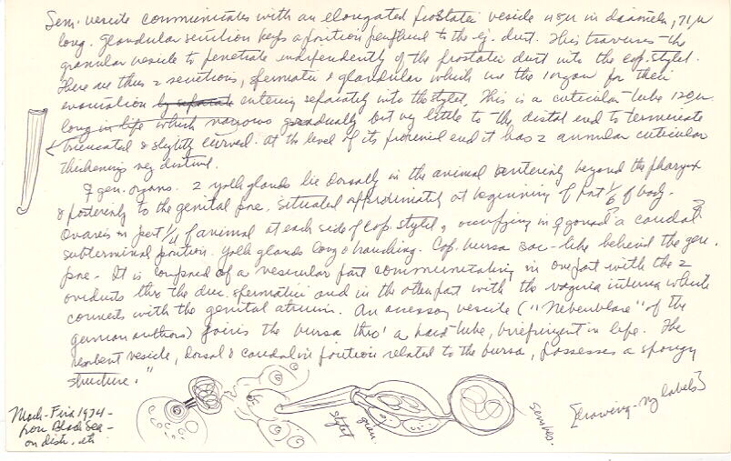 index card