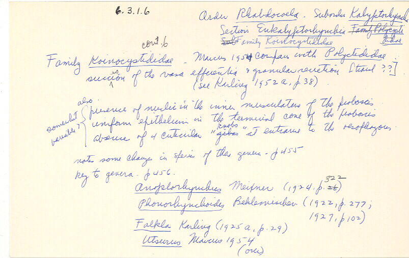 index card