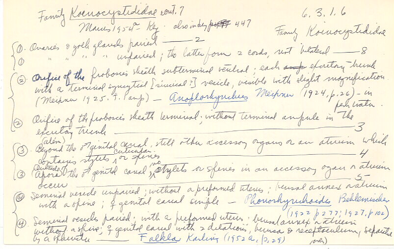 index card