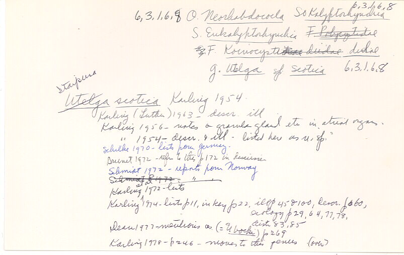 index card