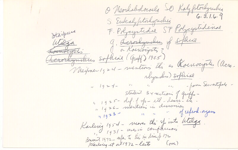 index card