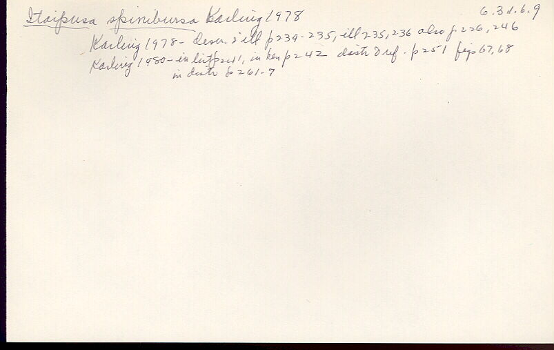 index card