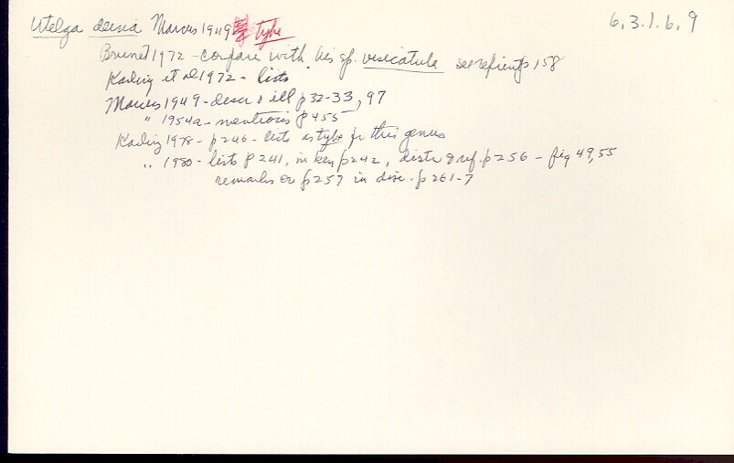 index card