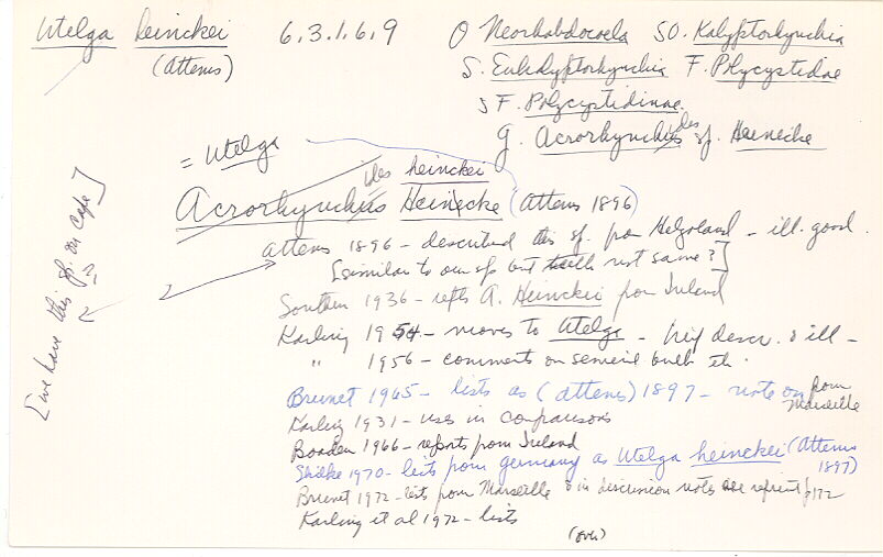 index card