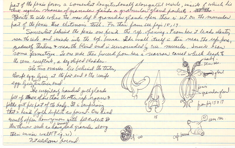 index card