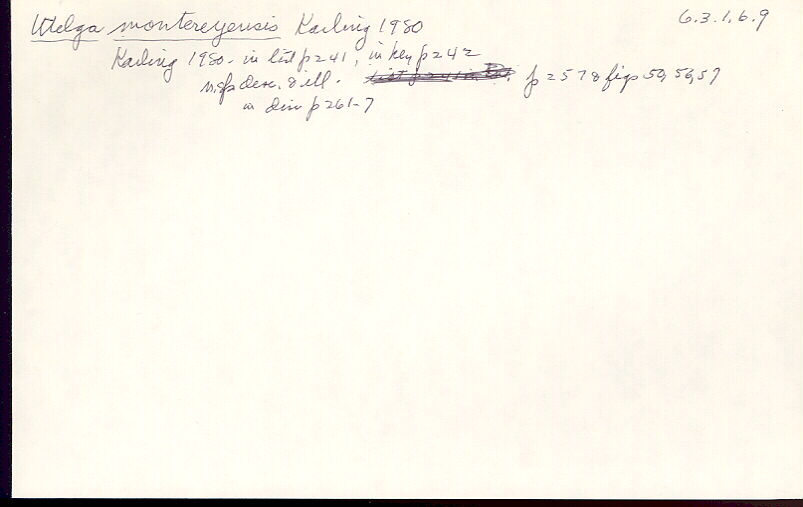 index card