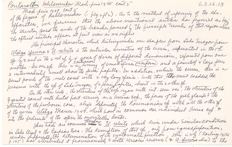 index card