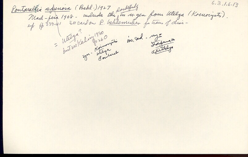 index card