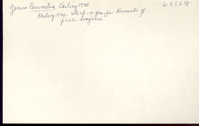 index card