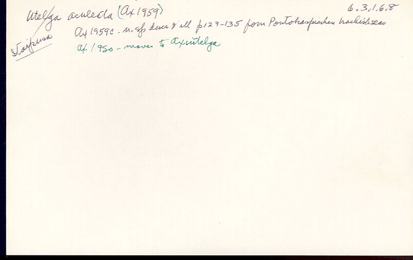 index card