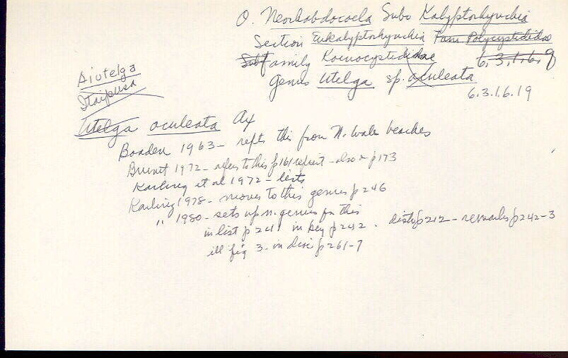 index card