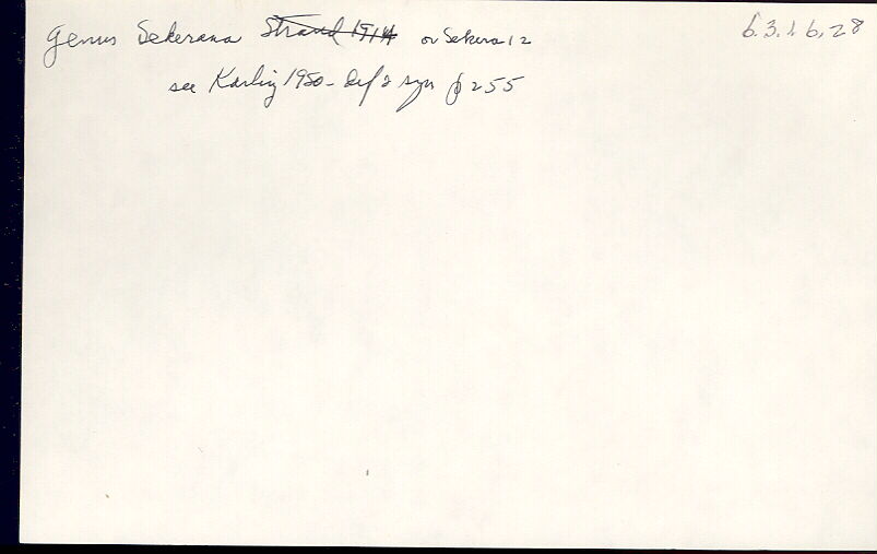 index card