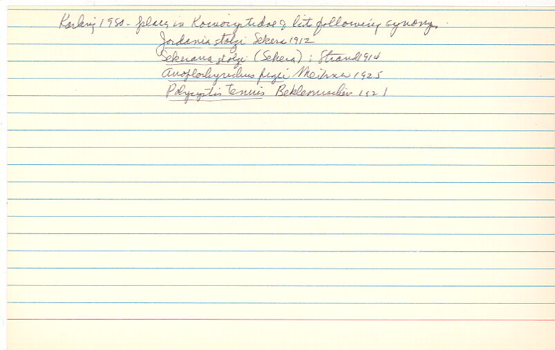 index card