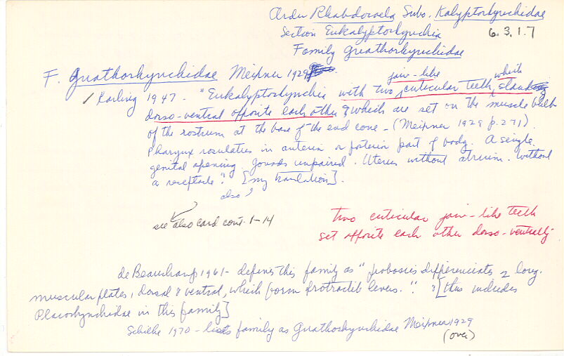 index card
