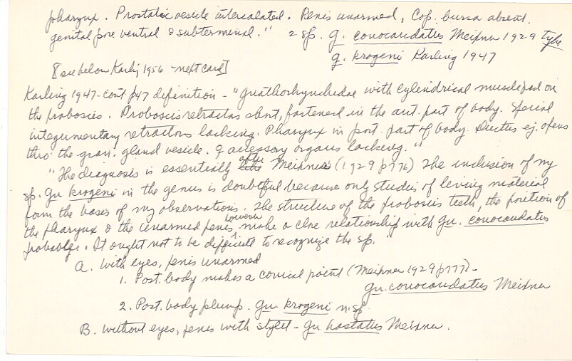 index card