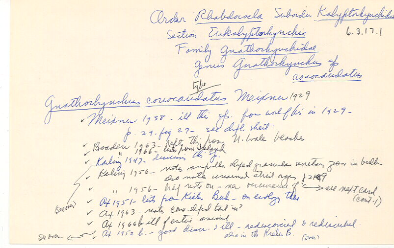 index card