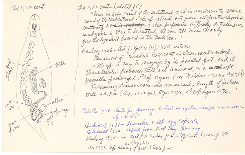 index card