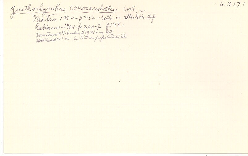 index card
