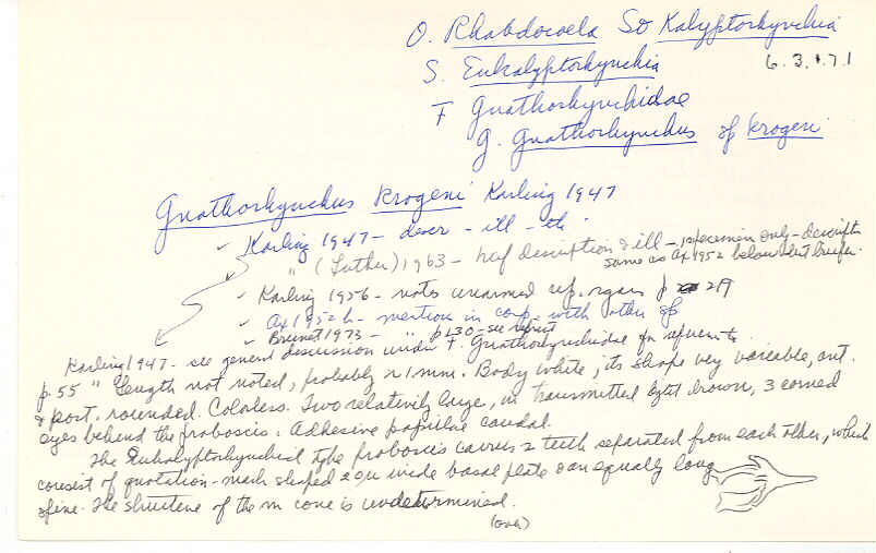 index card