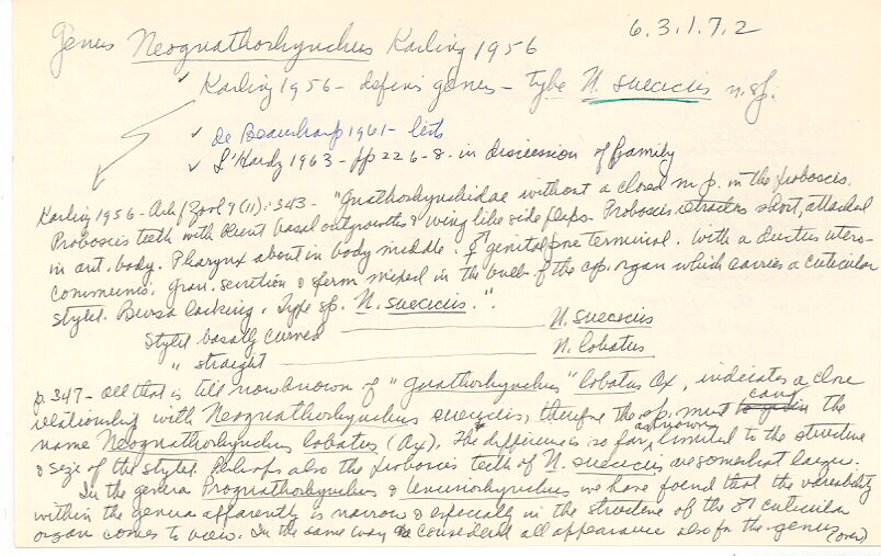 index card