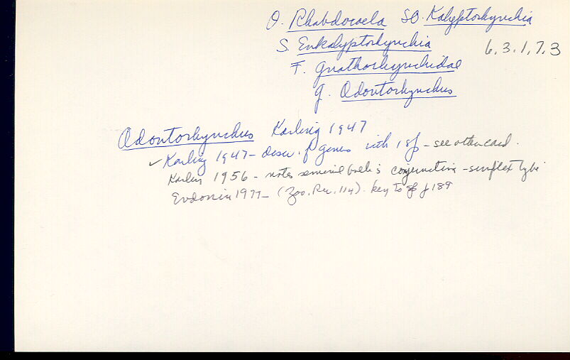 index card