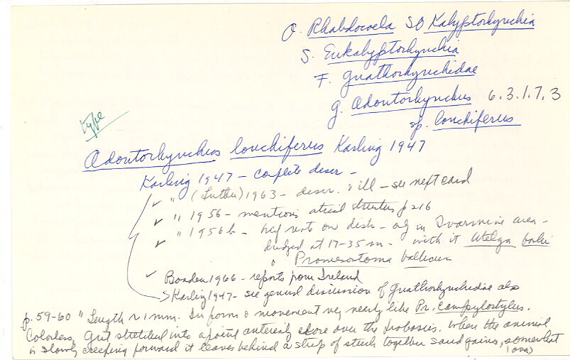 index card