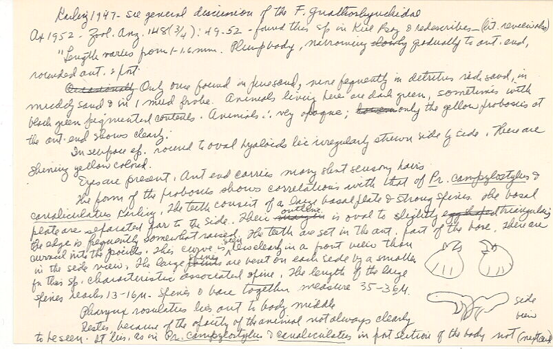 index card
