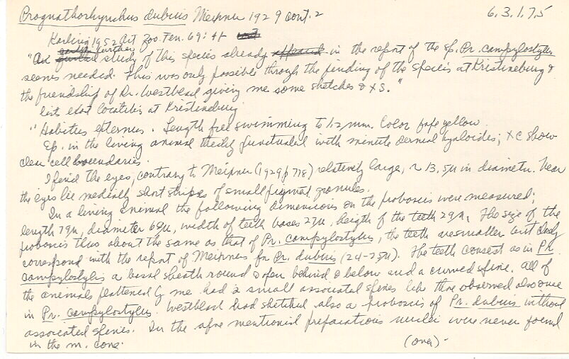 index card