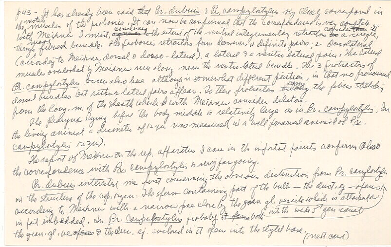 index card