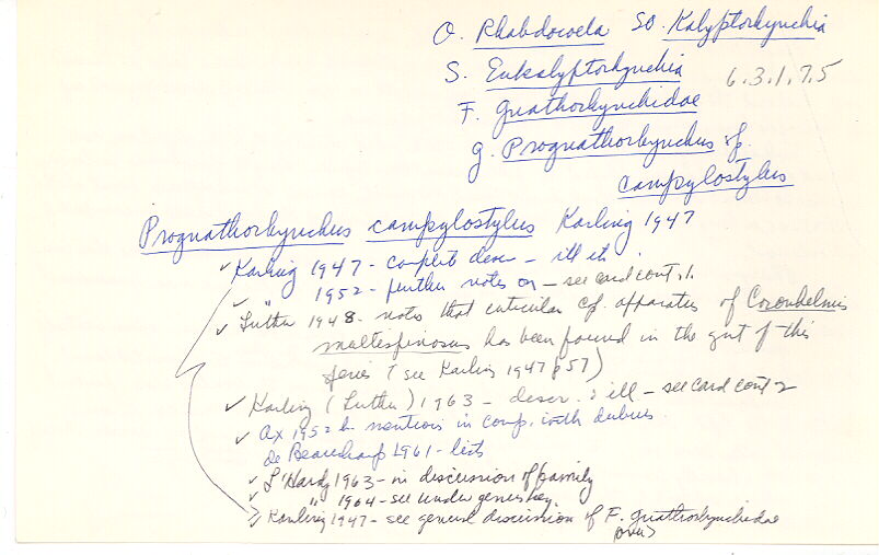 index card