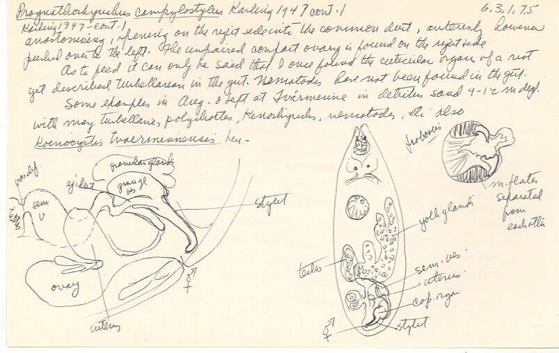 index card