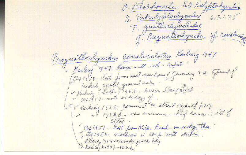 index card