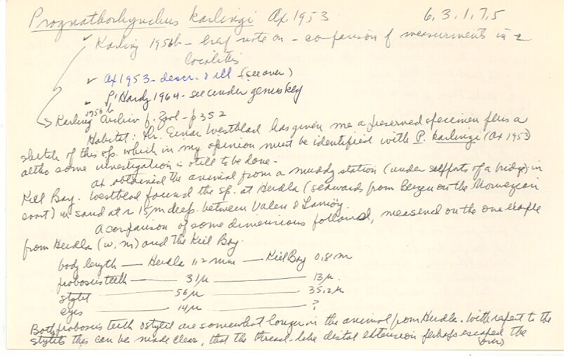 index card