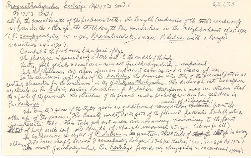 index card