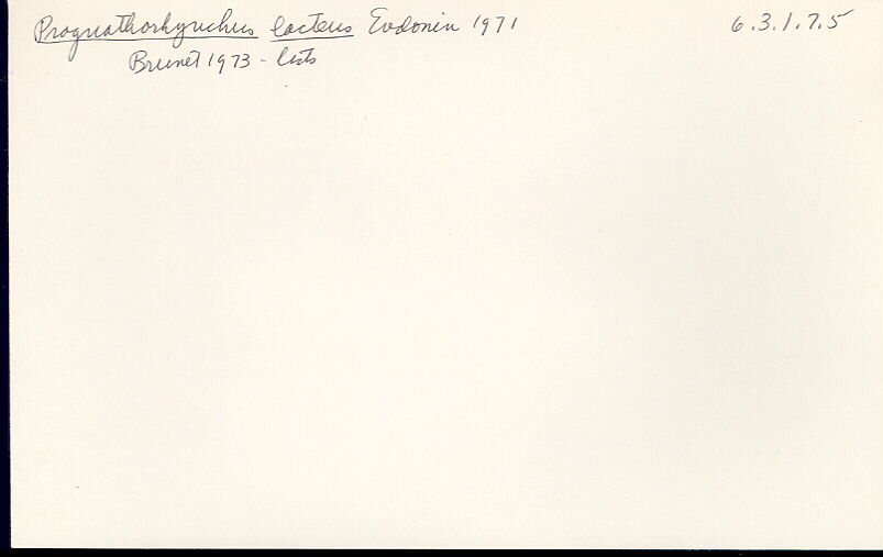 index card