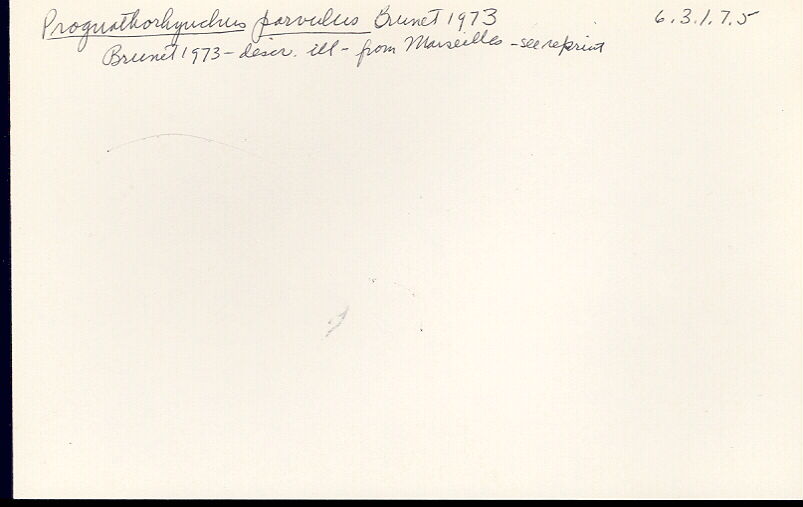 index card