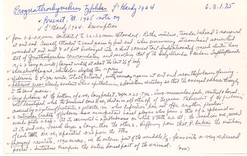 index card