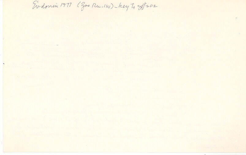 index card