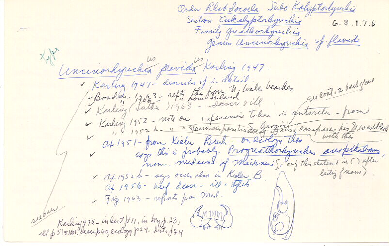 index card