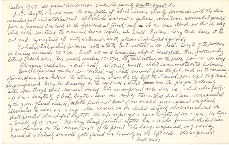 index card