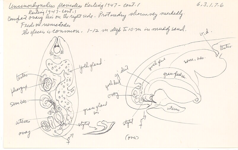 index card
