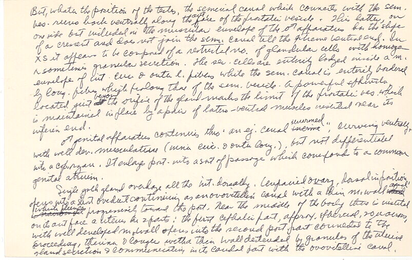 index card