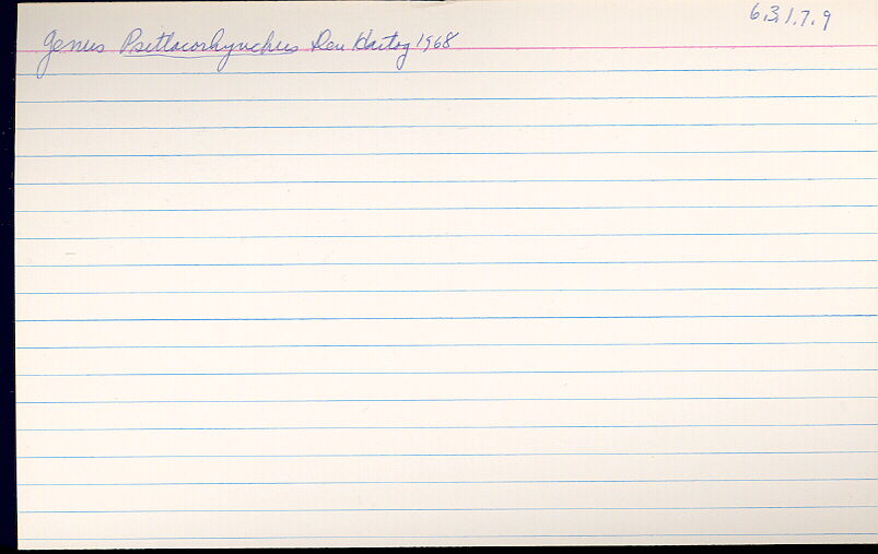 index card