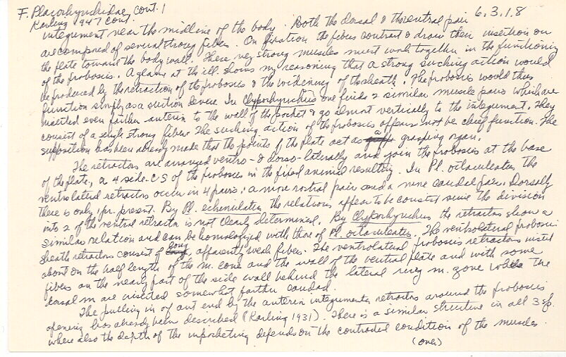 index card